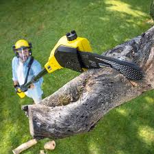 Best Soil Testing and Treatment  in La Follette, TN